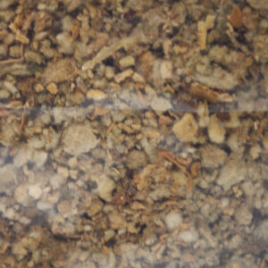 Mullein 25g